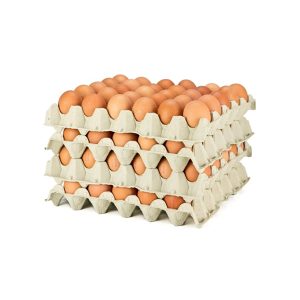 Huevos "L" Granel "Ou de L'Estany", 120 huevos (4 Bases de 30 huevos)