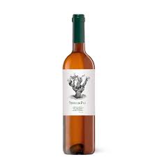 Vino Terra de Pau Blanco, 75 cl